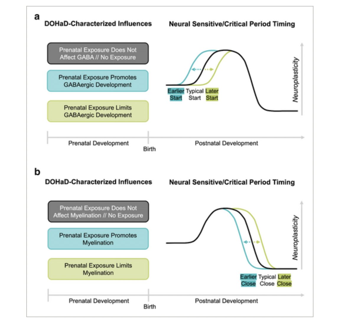 Excited to share a piece with the incredible @emma_margolis integrating DOHaD and sensitive/critical period frameworks to provide new perspective on biological embedding mechanisms from pre- to post-natal neurodevelopment! Please RT and give it a read! onlinelibrary.wiley.com/doi/10.1111/in…