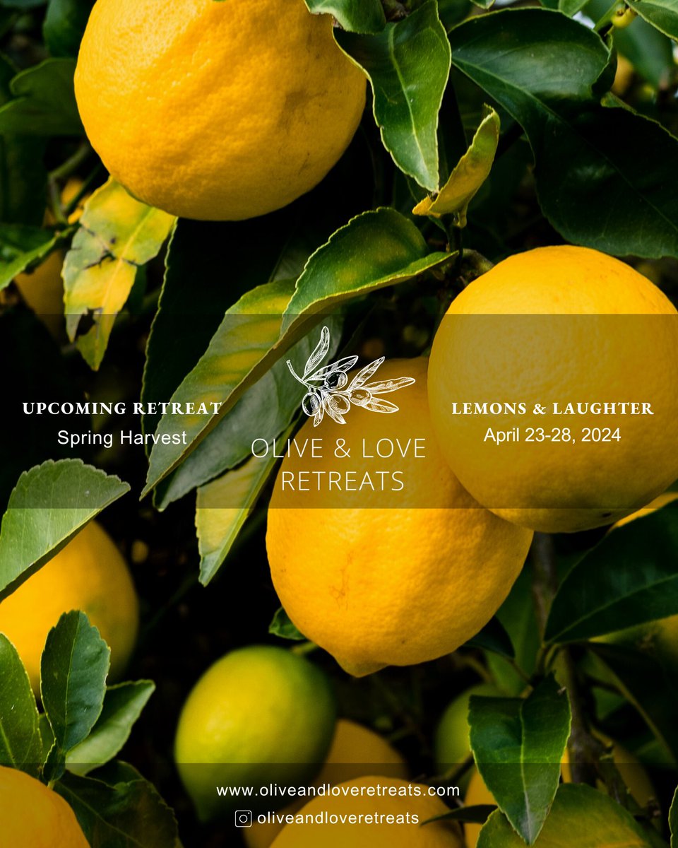 Lemons & Laughter Retreat 🍋 April 23-28, 2024 | Andros Island Experience Andros like never before through Olive & Love Retreats @oliveandloveretreats. #andros #androsisland #andros_secrets #androsgreece #lemon #retreat #greece #lemons #retreats #vacation #relax #islandlife