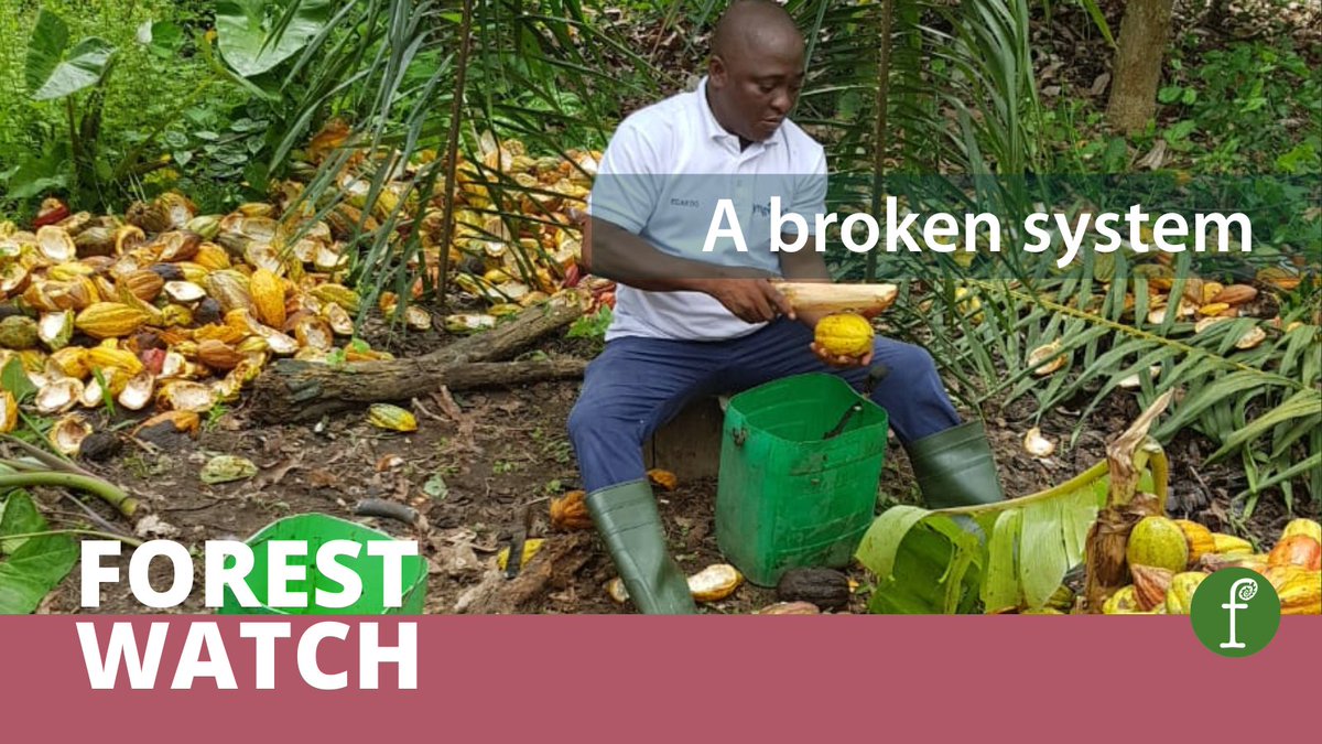 As #FarmersProtests2024 continue across Europe, farmers in Côte d’Ivoire are being crushed by the same pressures, shares Ousmane Traoré, chair of ECAKOOG, an organisation of small cocoa producers.

Read more in #ForestWatch 👇
fern.org/publications-i…
