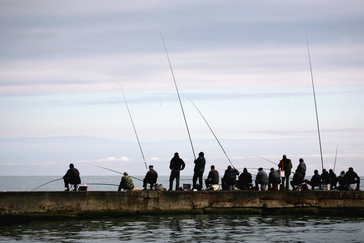 🎣Recreational catch can be massive!
Qualifying, quantifying &amp; incorporating this catch into assessments is not always a simple task.
Our Workshop on Recreational Fisheries in Stock Assessments #WKRFSA explored how best to do so.
ℹ Report out now: doi.org/10.17895/ices.…