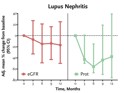 hjanders_hans's tweet photo. Now online in @NDTsocial 

#SGLT2 inhibition in primary/secondary forms of glomerulonephritis 

▶️https://t.co/D27HdW4fVf https://t.co/N89TdrY0wW