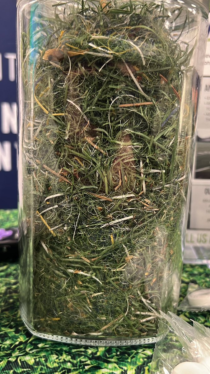 RiverbendTurf's tweet photo. @askILSTMA Winter Workshop #cleanfieldsaresafefields #notZEROmaintenance #whitechocolatelunch https://t.co/Wizmz7QBkv