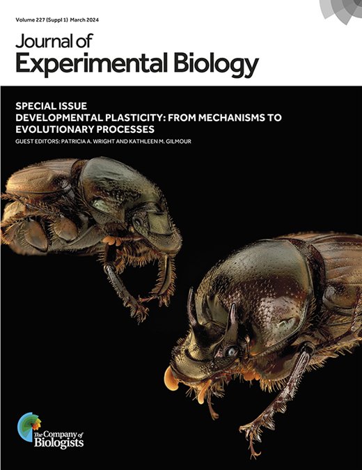 📢It's out! The JEB issue on Developmental plasticity, beautifully curated by Patricia and Kathleen after an exciting multidisciplinary symposium at Tenuta, is live! Check out our piece on how varying food availability impacts dev. plasticity in C. elegans