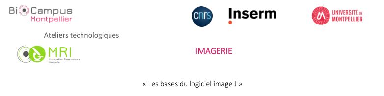 La plateforme de @Biocampus propose un atelier technologique le 25, 26 et 29 avril 2024. Inscription : biocampus.cnrs.fr/images/icagend…