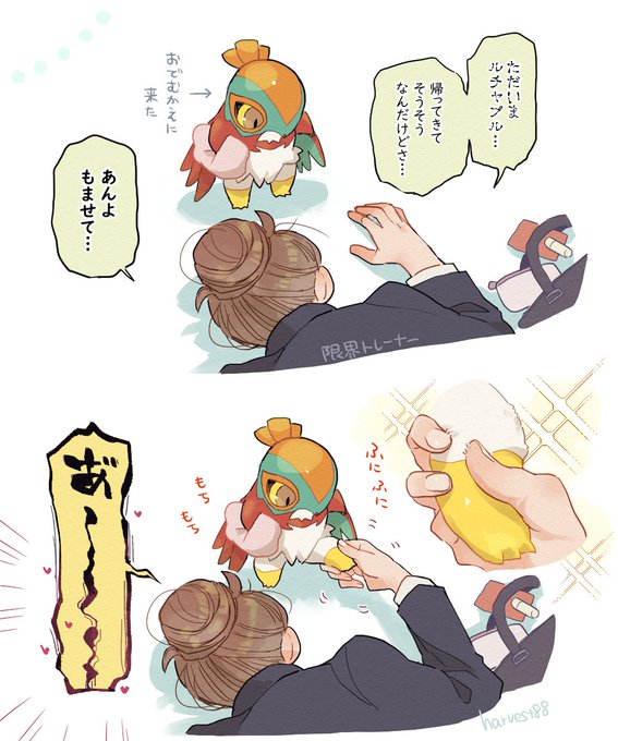 ほどよい筋肉の弾力とむっちりとした手触りが至高(赤ちゃんルチャチャ) 
