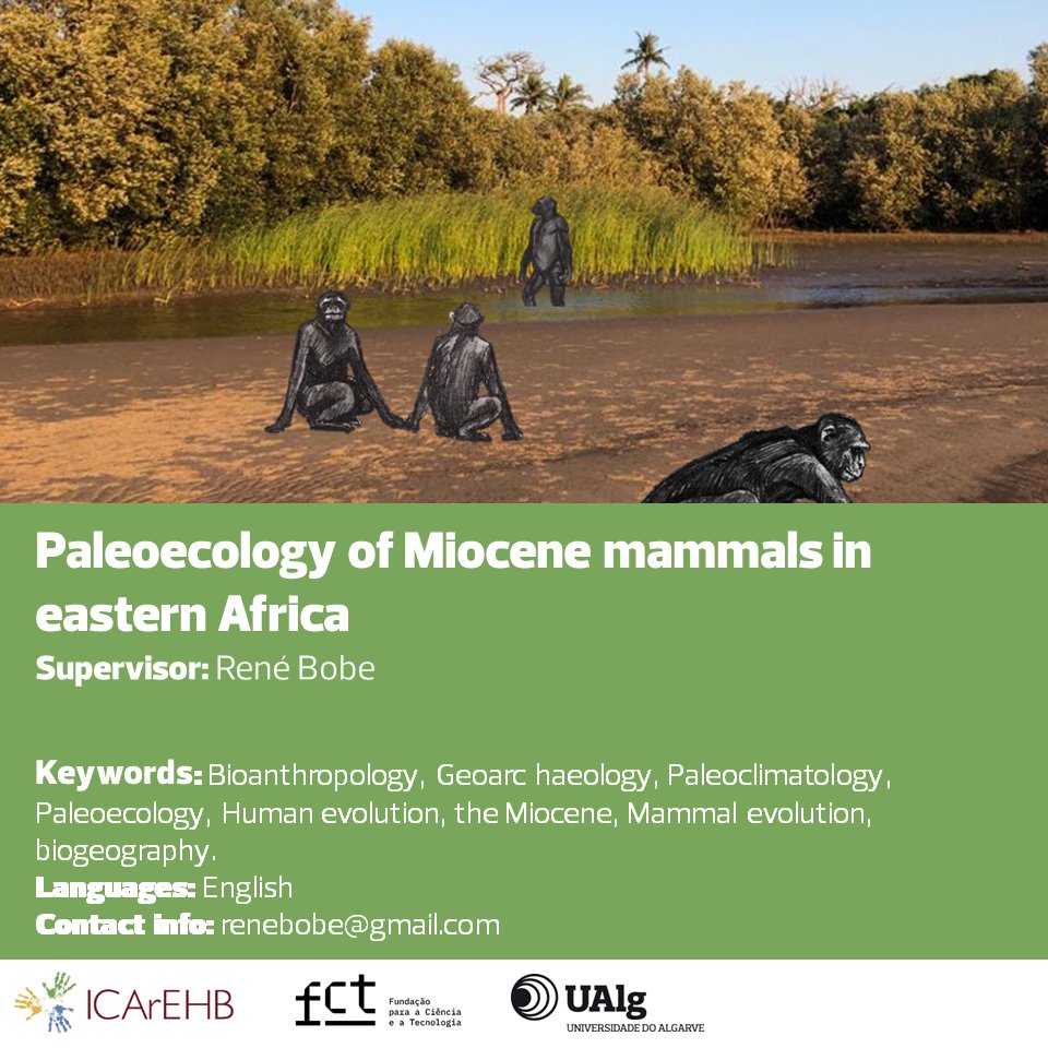 René Bobe available to supervise 'Paleoecology of Miocene mammals in eastern Africa' in 2024 FCT PhD Fellowships program. João Coelho to co-supervise. More info bit.ly/42Gi1bI 
#FCTPhDFellowships #ICArEHB #ResearchOpportunity