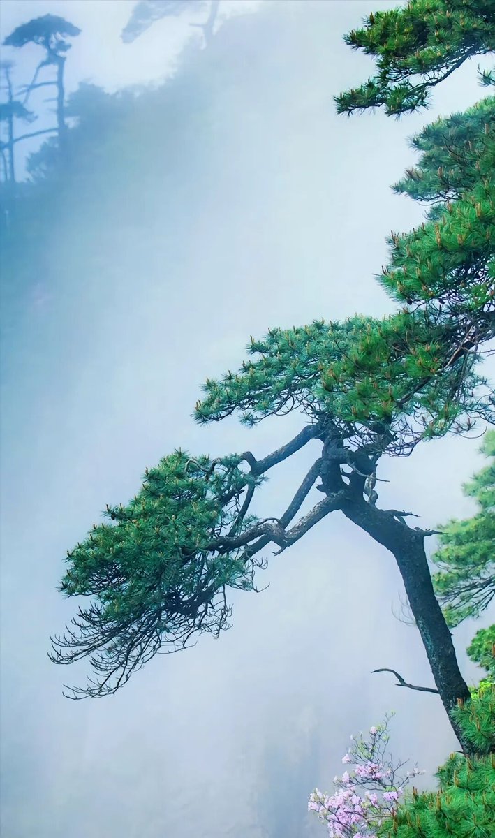 Tsaver's tweet photo. Cease to struggle and you cease to live https://t.co/KYwgbRsRb0