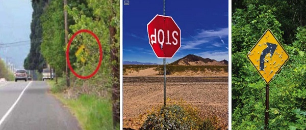 Nearly half of state DOTs have already modified infrastructure based on the needs for connected and autonomous vehicles, like traffic signals and signs that support self-driving vehicles, via TRB, <a href="/InTrans_ISU/">Institute for Transportation</a>, and <a href="/HDR_Inc/">HDR</a>.

ow.ly/cGQ250QMY0G