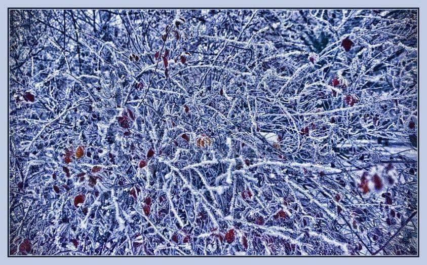 KharchenkoArt's tweet photo. Hoarfrost.
#art #kharchenko #nft #nfts #nftart #nftarts #nftcollector #nftartwork #nftinvestor #nftcommunity #nftartists #nftdrop #nftdrops #opensea #nftgiveaway #artwork #Hoarfrost https://t.co/4at2TQcX2M