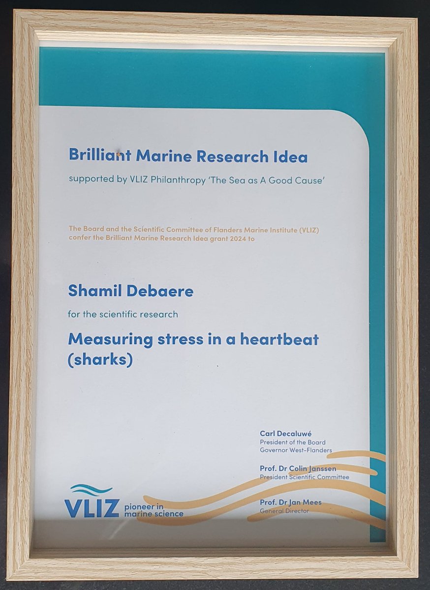 Yesterday, our colleague Shamil Debaere won the Brilliant Marine Research Idea #BMRI award at the VLIZ marine day #VMSD24. He will work on analysing responses to stress in sharks using heartrate monitors. Congratulations @ShamilDebaere 🎉