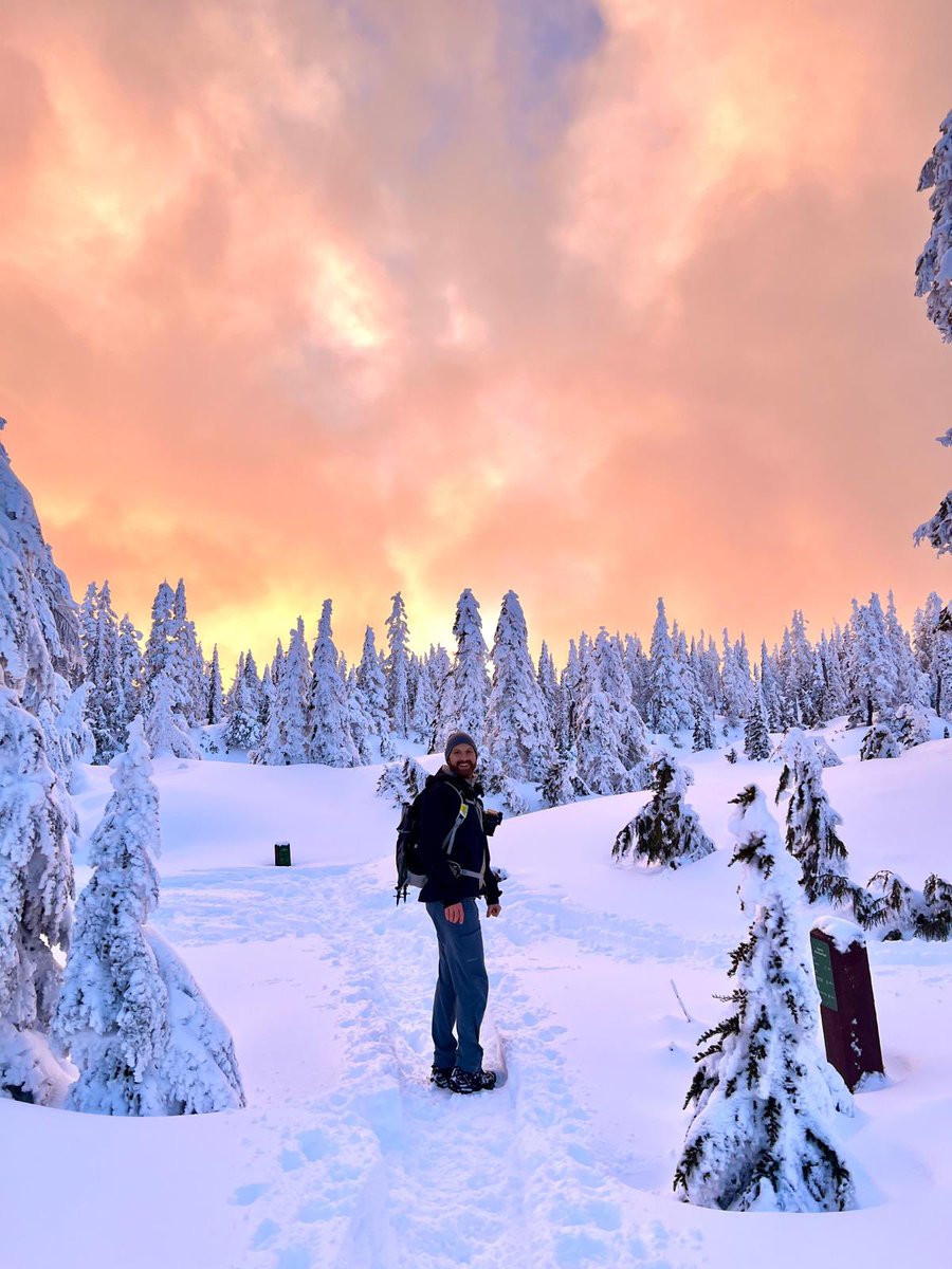 Andy | Crypto Like A Pro 🔮 tweet media