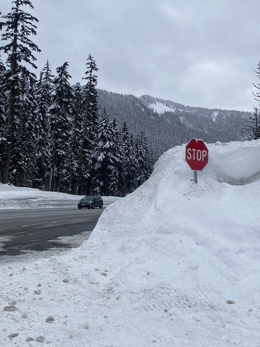 DonClotfelter's tweet photo. Views of Stevens Pass as I ‘pass by’ 😂
@ShannonODKOMO @weatherchaser5 @kneesee79 @wheeler244 #US2 #Cascades #springski @Rebecca_Weather https://t.co/YaapOrZpOd
