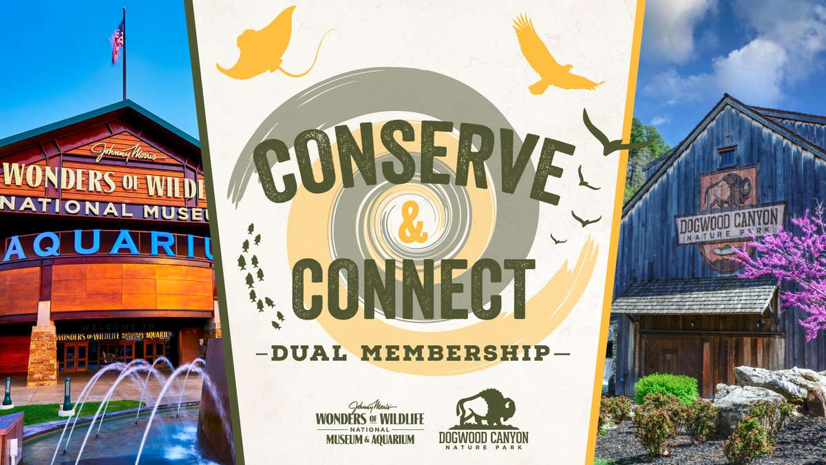 You asked, we listened! Explore both Wonders of Wildlife AND @Dogwood_Canyon with our all-new Conserve & Connect Membership – a multi-property membership that grants you unlimited access to both conservation attractions. Learn more and secure yours today: wondersofwildlife.org/membership