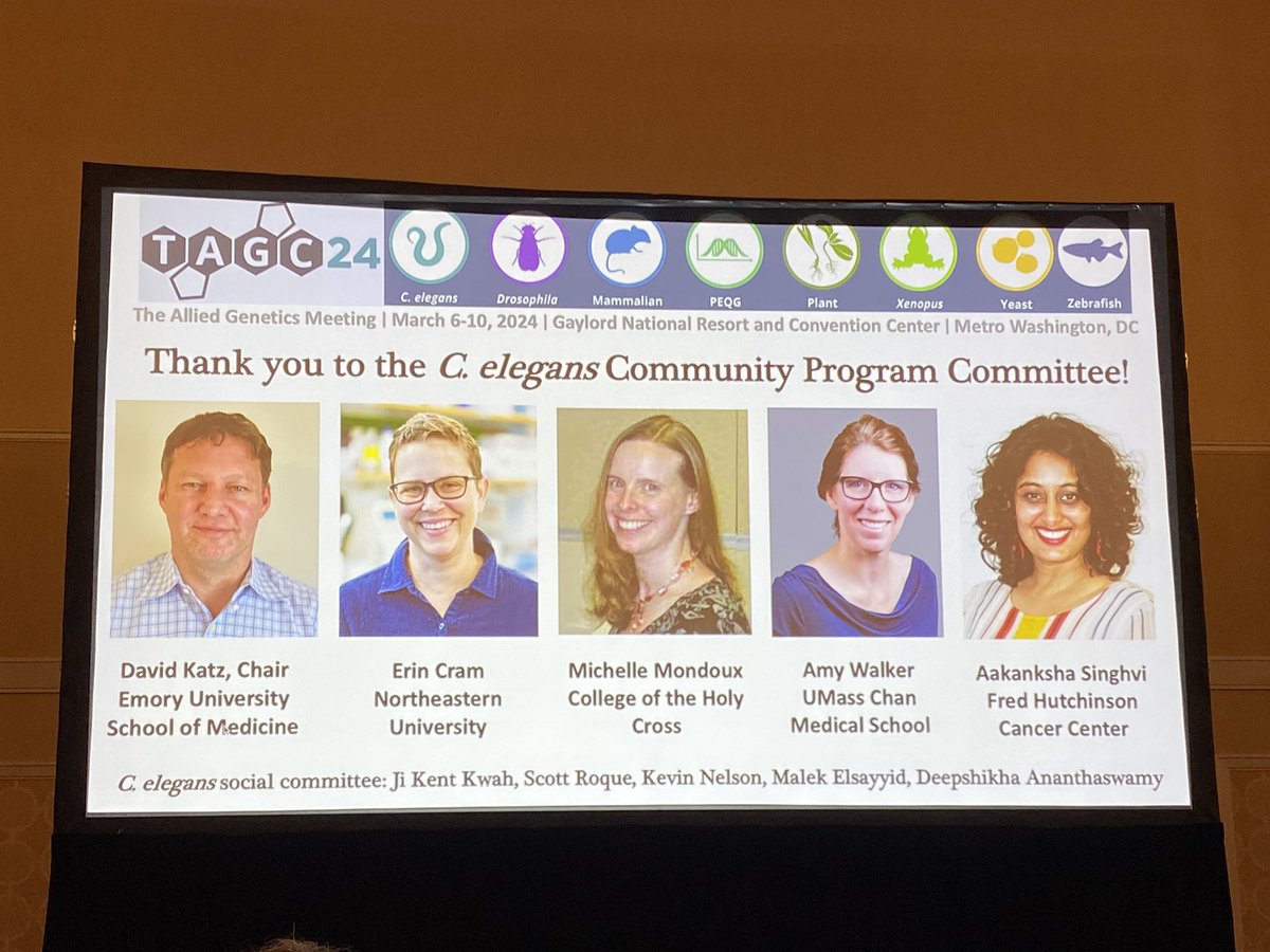 First #worm session this morning at #TAGC24. Kudos to the #celegans program committee for a diverse and very informative session 🙌🏼🪱