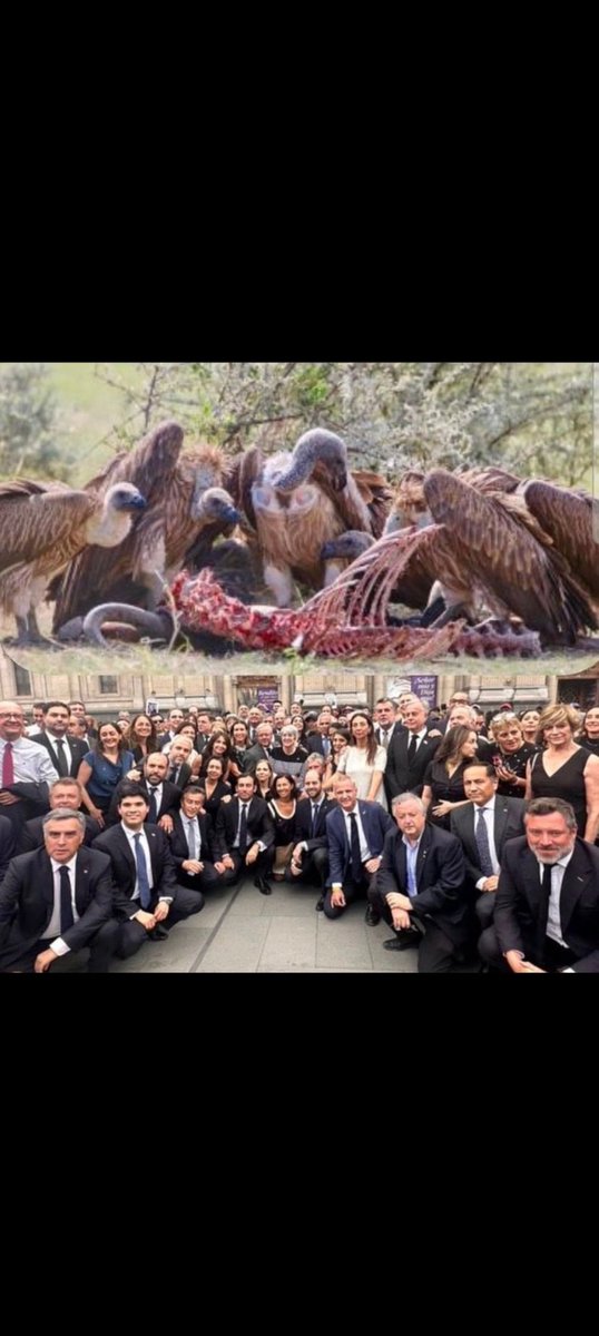 Valdivia VIKTOR / Unión Española tweet media