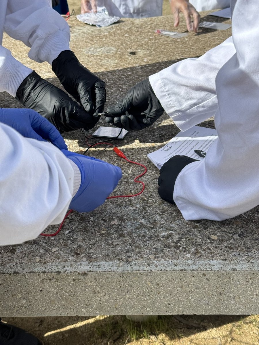 Jingjing Qiu tweet media