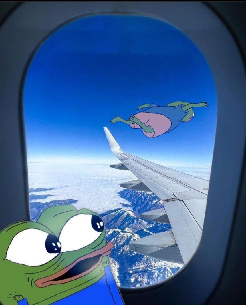 Z𝐀Z𝐀 🐸 tweet media