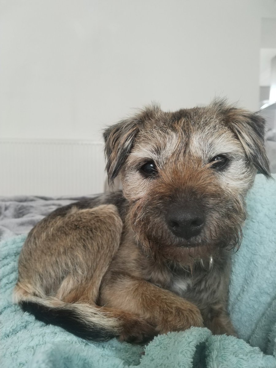 Michelle Thomas tweet media