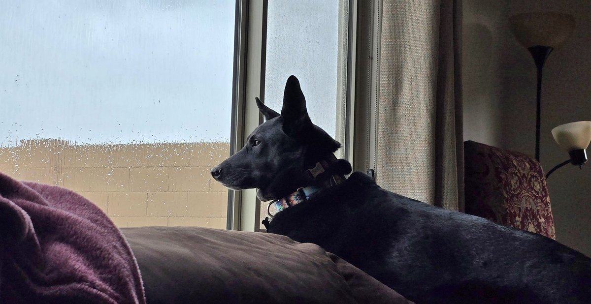 Rainy day in Waddell.