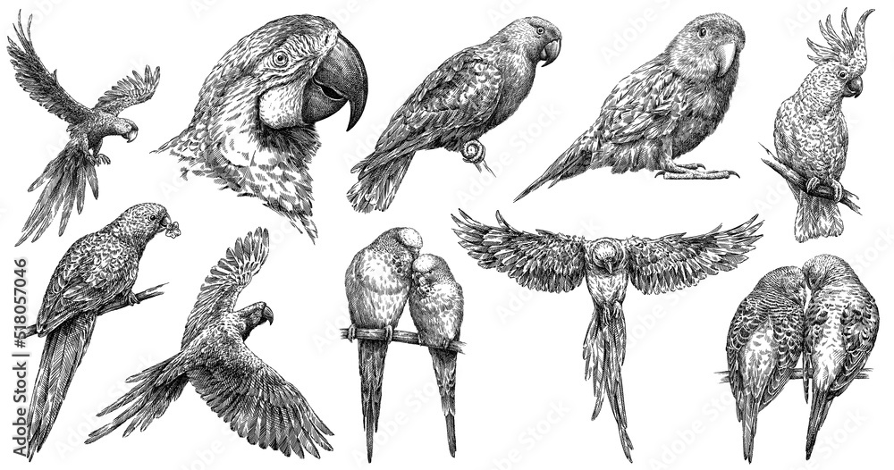 Colin Kreuzer tweet media