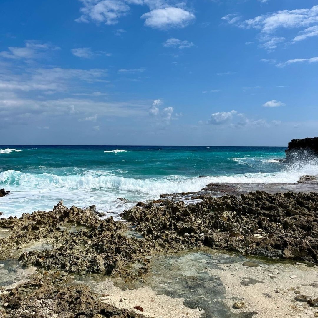 ¿Extrañas el sonido relajante del mar? ¡#Cozumel te espera con los brazos abiertos! 🫶 Comparte este momento, revive la serenidad de este paraíso y planea tu próxima visita🌴🌊 📷 IG _brencabrera_ @GoCaribeMex #CaribeMexicano #RegresaAlParaíso #SienteLaMagia