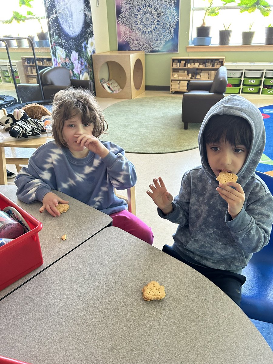Indulging in maple goodness on Sugar Shack Thursday! 🍁🍪 Two students enjoy the delectable taste of maple cookies, making Thursdays extra sweet. #MapleTreats #SugarShackThursday 🍁👬<a href="/StGabrielOCSB/">St. Gabriel School</a>