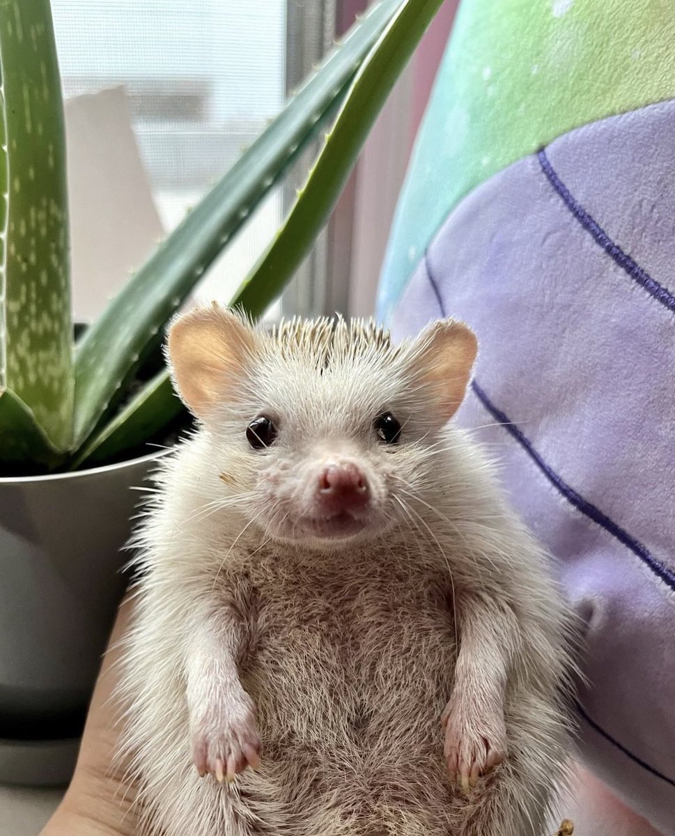 Thursday 7th March, 2024