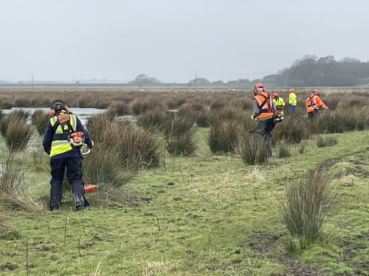 tophilllow's tweet image. Excellent day with our @tophilllow volunteers and @YorkshireWater rangers helping with rush management on @AlbEnvironment Leven Carrs with @NEYorksNLincs and @YorksWildlife - massive thanks to all involved!