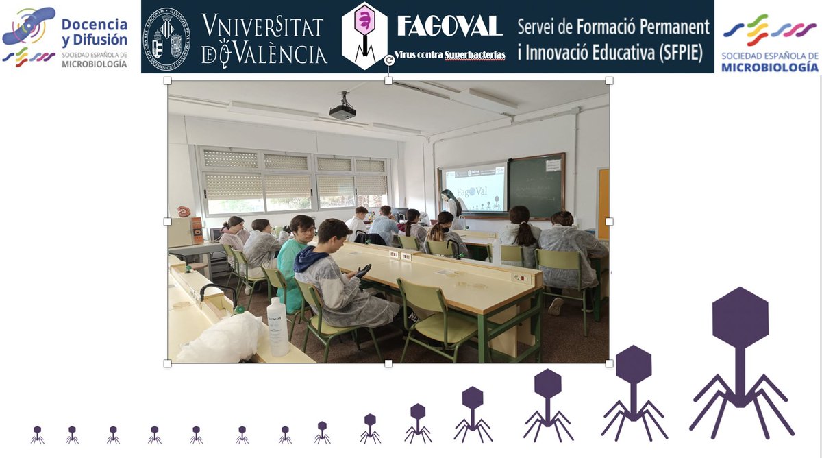 fagoval's tweet photo. Gracias @RosaVaz22 por explicar en la última sesión #fagoval24 de hoy en el @iesvae cómo aislar fagos para #fagoterapia junto a @biosca_eg, Ana, María y 
@MargaOrtigosa. :) 

@biosca_eg
@UV_EG
@sfpieuv
@SWIValencia
@SWISpain
#fagoterapia
 #ciencia https://t.co/VPUHmBOJTd