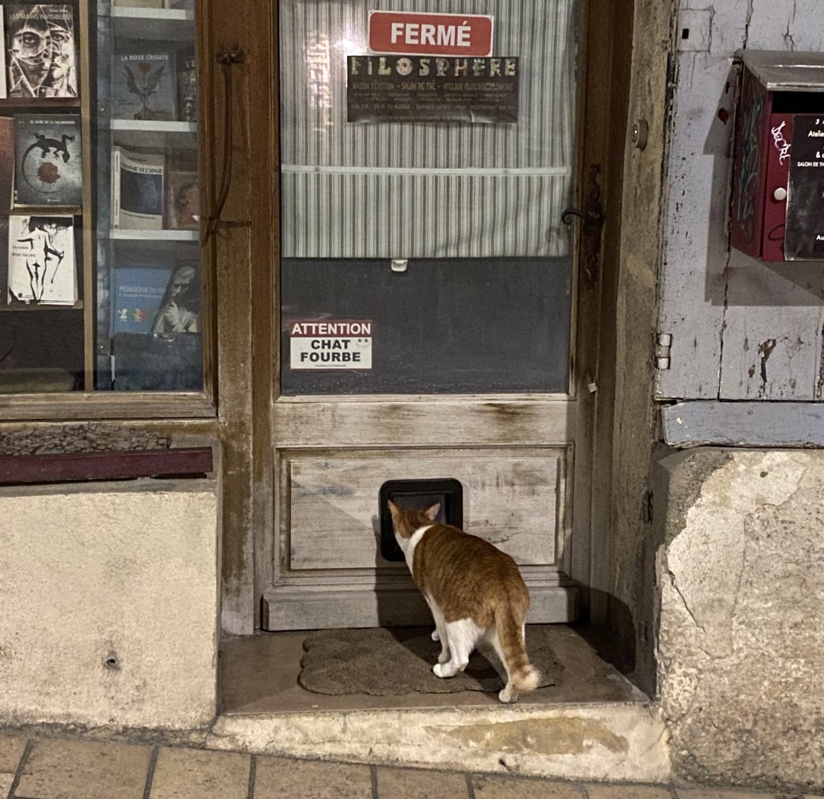 Dans la rue à 23h
« Oh un poti chat trop mimi »
Puis lire la pancarte