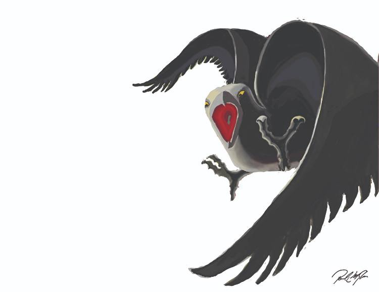 MaryLong9064's tweet photo. >>>>>>>
SQUAWK
>>>>>>>

PAUL MICHAEL GLASER

#digitalpainting
#venting
#anger
#frustration
#Outcry
#NO!
#outrage
#leavemealone
#pmglaserart

https://t.co/onR1liH0iX https://t.co/xerx3gX9Ee