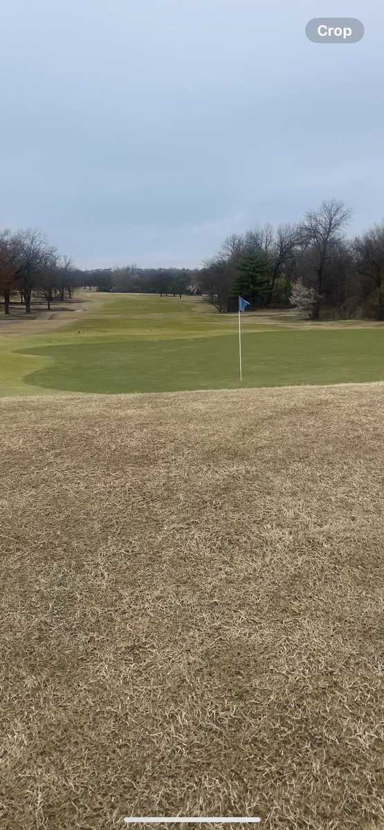 March 7 and the Bermuda greens and zoysia fairways at Page Belcher are coming in fast, what a spring.