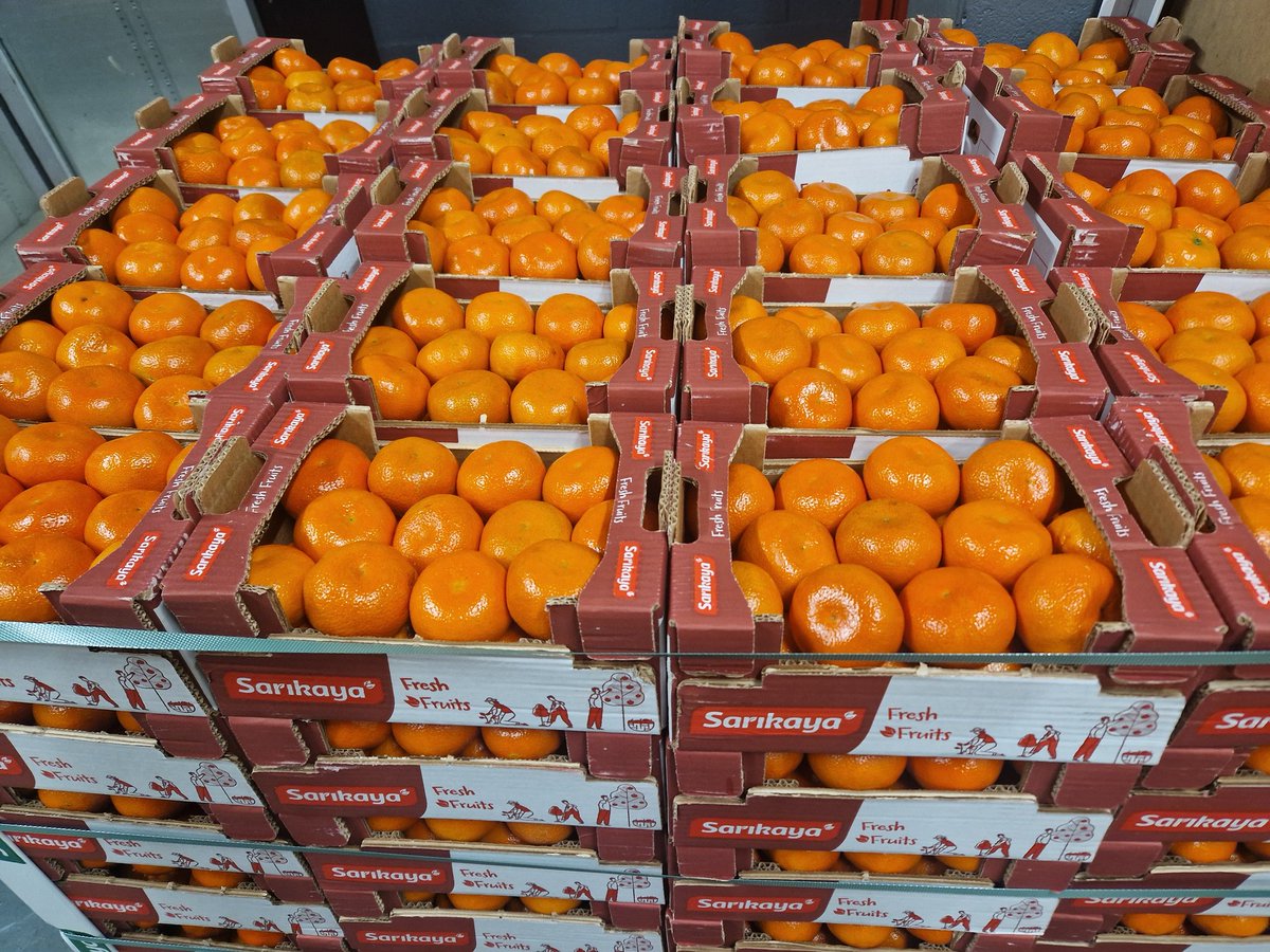 fruitrunner's tweet image. Delicious Nardicots for next week's boxes.
#officefruit 
#Birmingham 
#Wellbeing