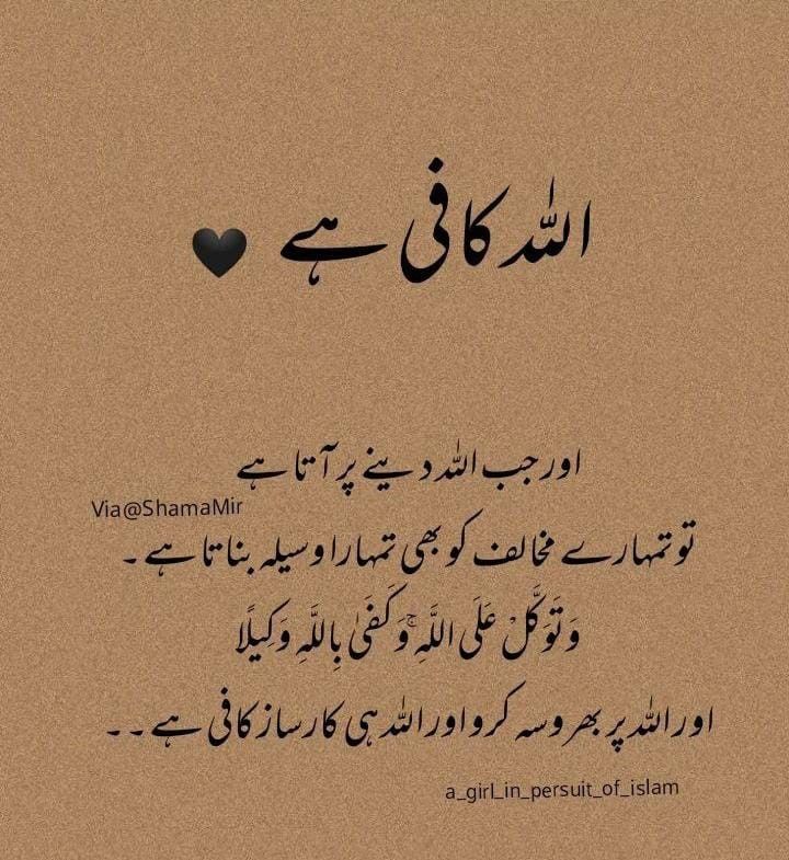 Musarrat Ashfaq (@musarratashfaq) on Twitter photo 