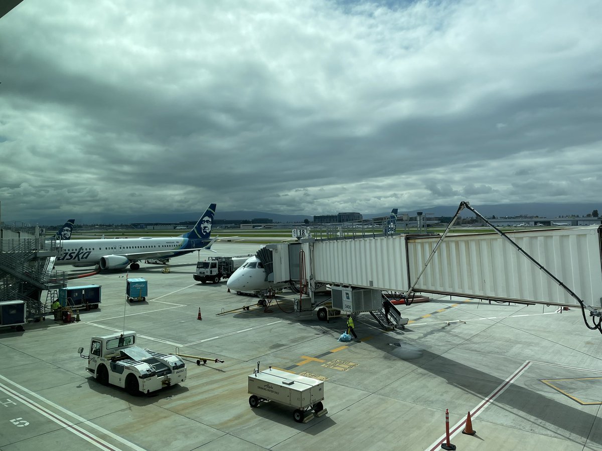Maga_peng's tweet photo. Taking off soon … #ApeReunion #Reunion #RSP #GameFi #AdekaOrdinals #ReunionStudio https://t.co/NEeT48tt7K