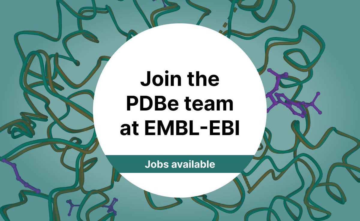 PDBeurope's tweet photo. Are you a front-end developer interested in biological data? We have a post available for development of user-facing web pages for displaying molecular structures &amp; annotations.
📅Deadline: 19 March 2024.

For more information and to apply:
🔗https://t.co/DeeE6eiZzp https://t.co/Wsrlaku0qP