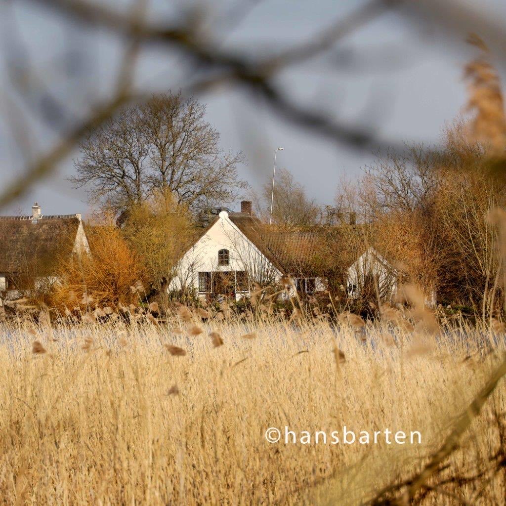 Hans Barten tweet media