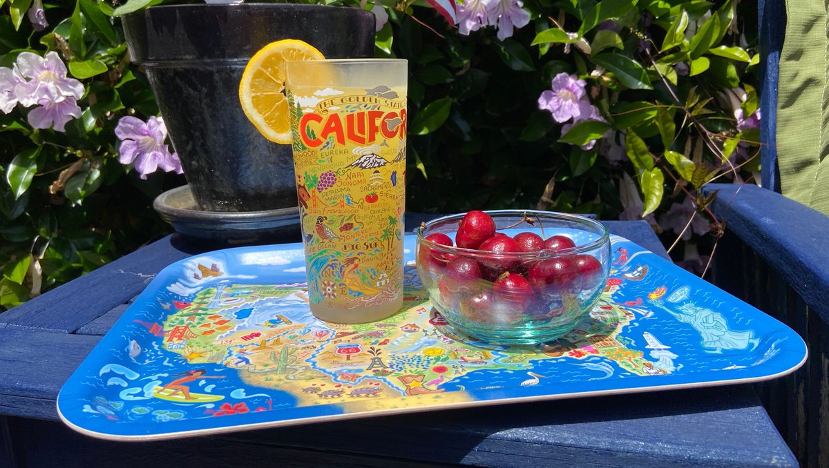 catstudio tweet media