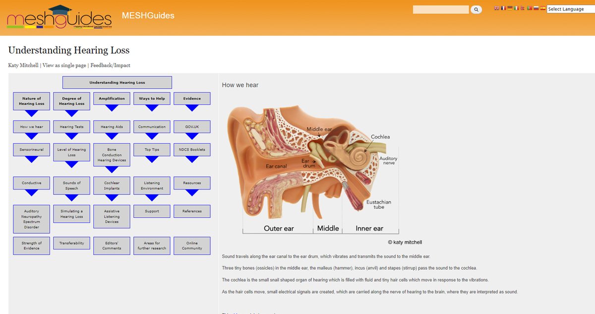 Looking for information that will help with hearing loss in children ℹ️👂 Our MESHGuide has been designed to provide clear information about the nature and degree of hearing loss and the impact that a hearing loss has on speech access: meshguides.org/guides/node/19… #MESHGuide