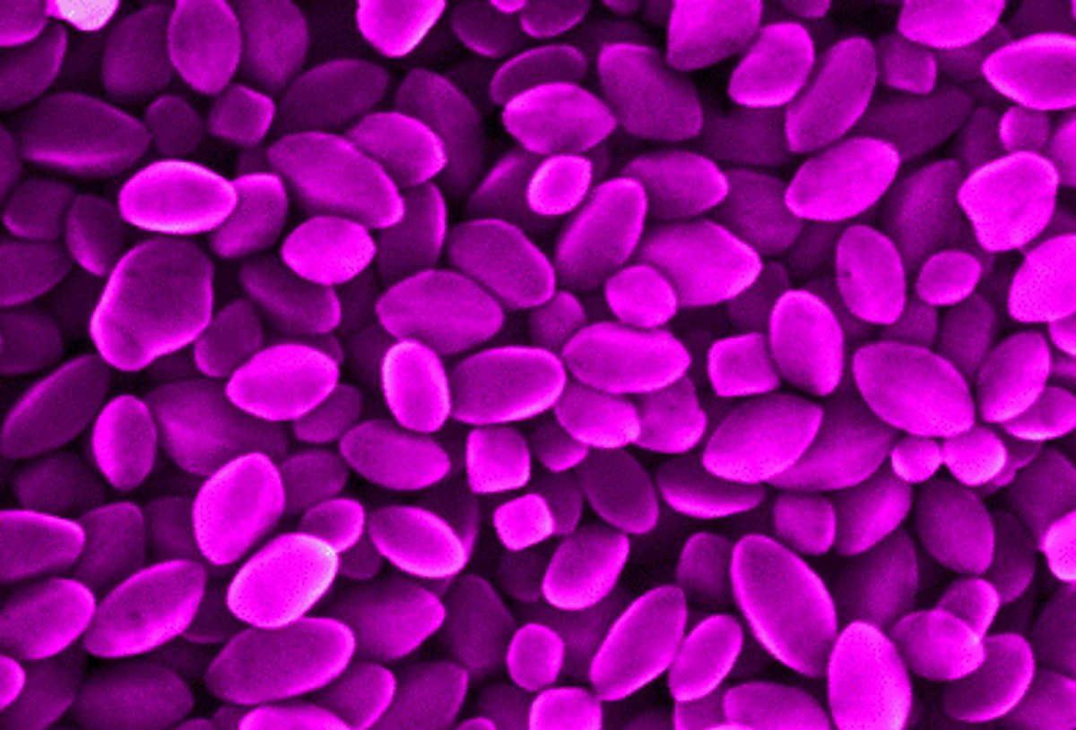 Many nanoparticles (NP) have applications across industries like medicine &amp; energy, but others can cause environmental or health damage

#EMPIR project #nPSize has input key data into #ISO 21363 &amp; ISO 19749, two new standards for NP measurement

Read more: bit.ly/4a4fbjk