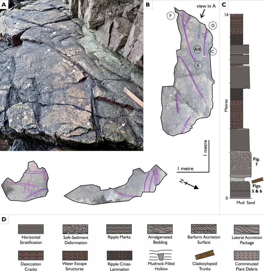 The Geological Society tweet media