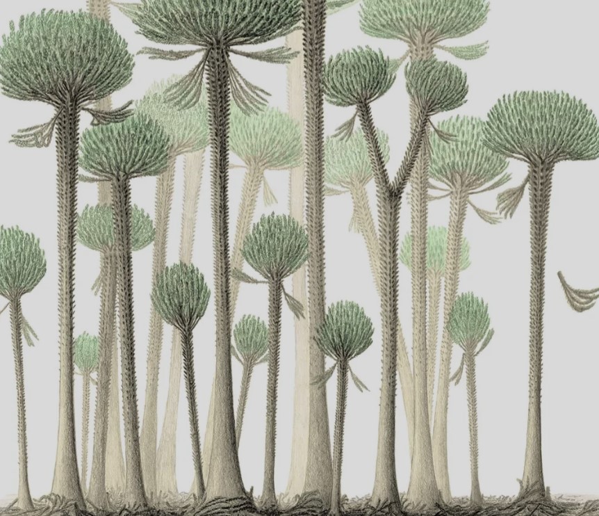 The Geological Society tweet media