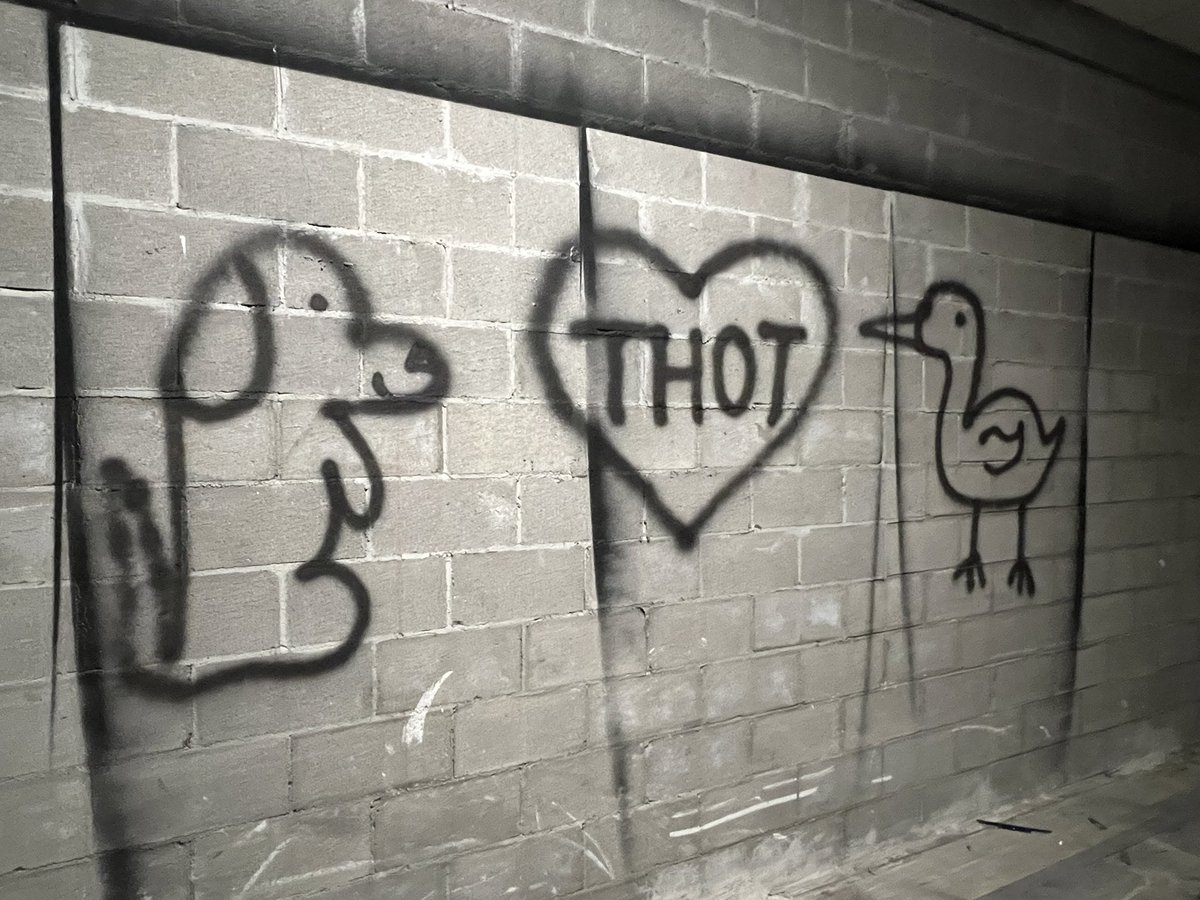 bugmanmatt1's tweet image. 