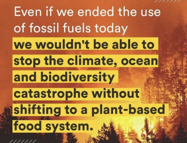 S_Catsgotmyback's tweet photo. People, please. Stop listening to those promoting the fantasy that we can regeneratively farm animals for 8 billion humans (we can’t), or that we just need to live like we did in 1800 (again, we can’t).

We are out of time for this nonsense and like it or not, it’s vegan or bust. https://t.co/j2xS73snzy