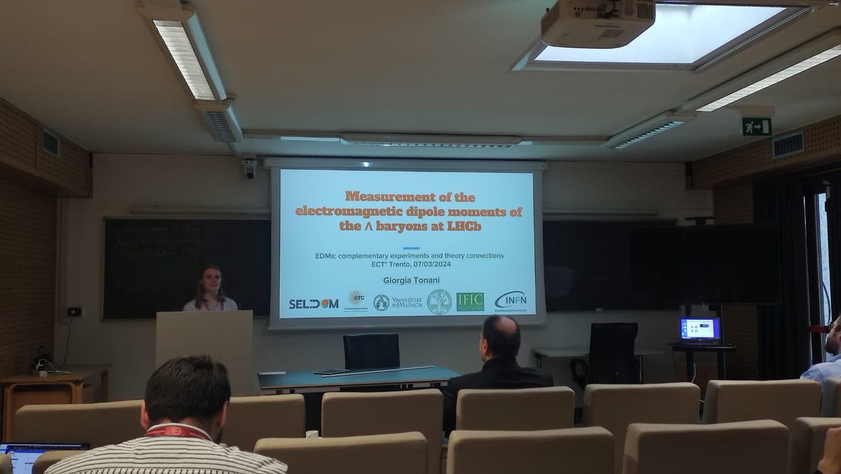 SeldomTeam's tweet photo. Giorgia while giving her talk on strange baryon dipole moments https://t.co/Be5kmcqQqD