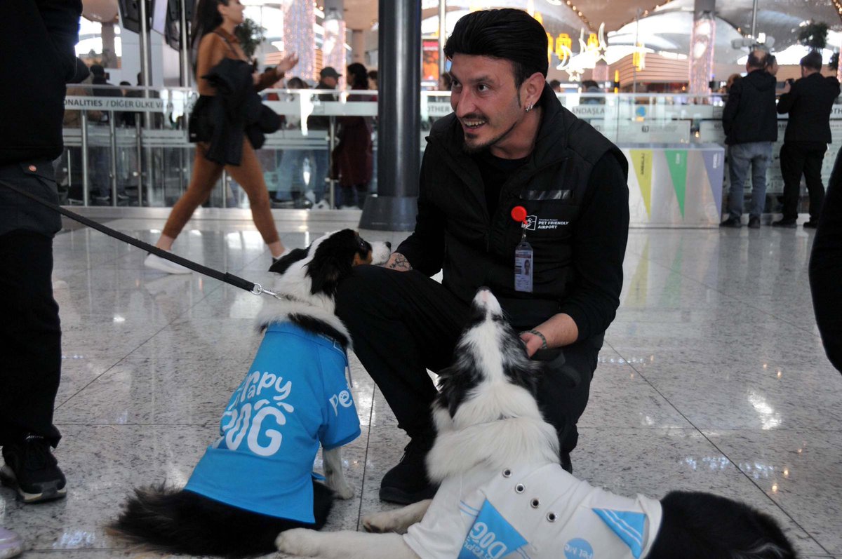 bosunatiklama's tweet photo. İstanbul Havalimanı'nda terapi köpek hizmeti verilmeye başlandı.

Terapi köpekler sayesinde, uçuş öncesi endişe, stres yaşayan yolcuların korkularını yenmesi amaçlanıyor. https://t.co/XWn0EhlX78