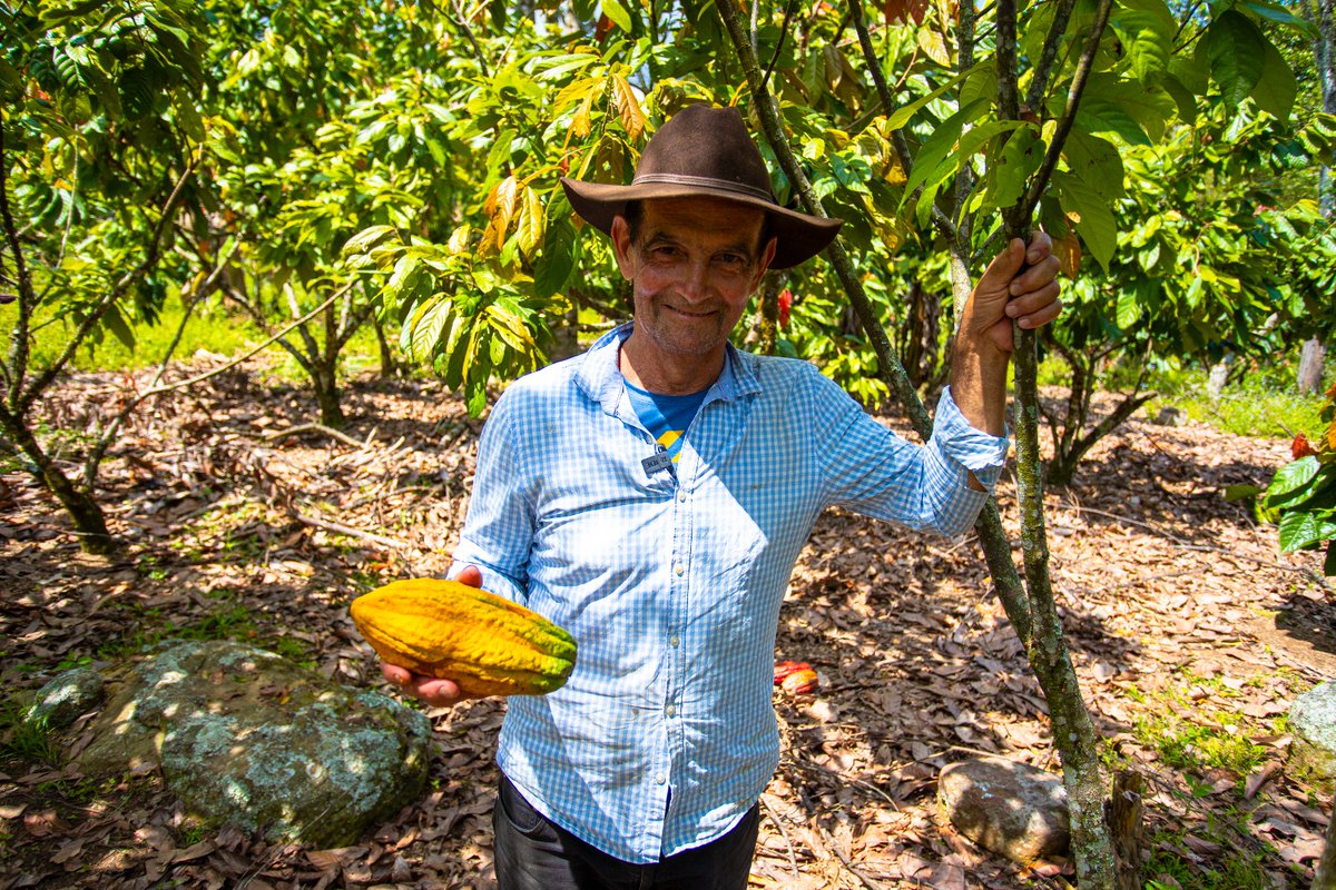 UPRAColombia's tweet photo. 🍫☕️Te invitamos a participar 👩🏽‍🌾🧑🏽‍🌾, del 7 al 15 de marzo, en la construcción colectiva del Plan de Ordenamiento Productivo de la Cadena de #CacaoDeColombia y su Agroindustria, con aportes y comentarios, en los documentos dispuestos en el siguiente link 📲 https://t.co/BXXS59jM2A https://t.co/qDZkCg5w6m