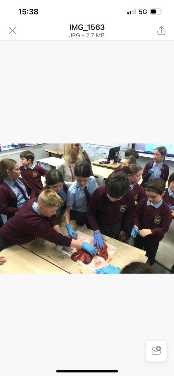BBG Science tweet media