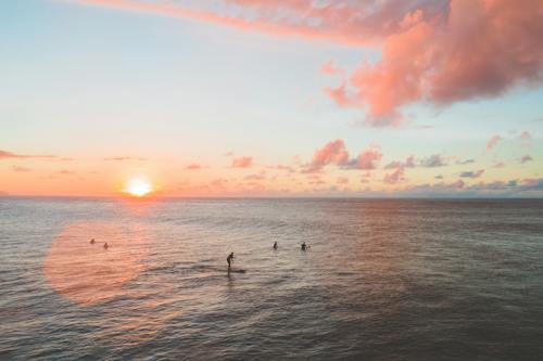 Tea Jozić tweet media