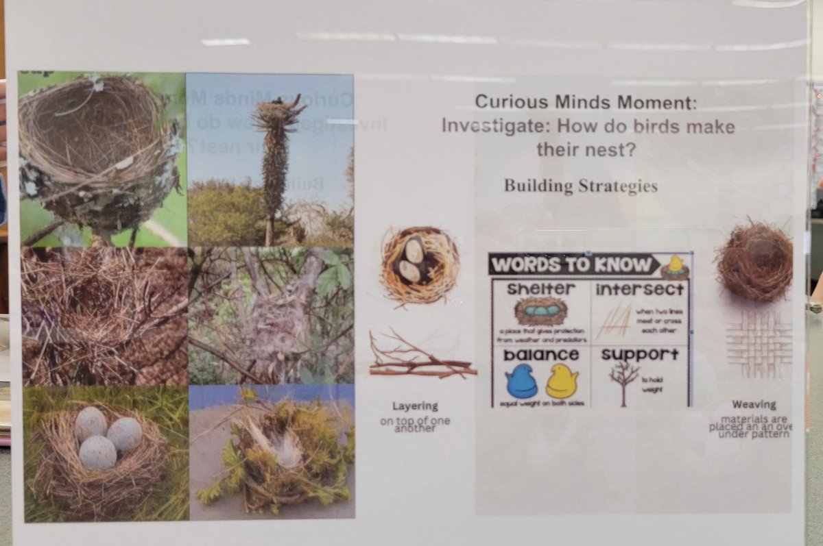 Maria Melachrinos Dunbar tweet media